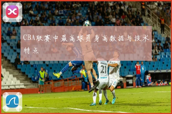 CBA联赛中最高球员身高数据与技术特点