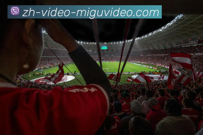 数据防护可视化